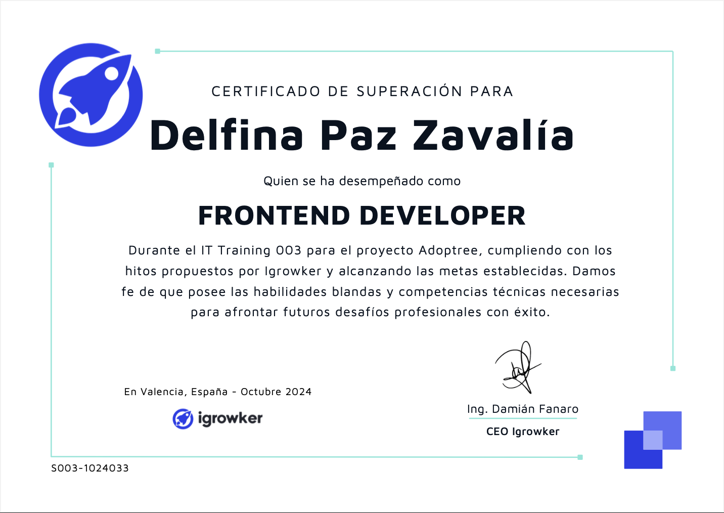 FRONTEND DEVELOPER - IT Training